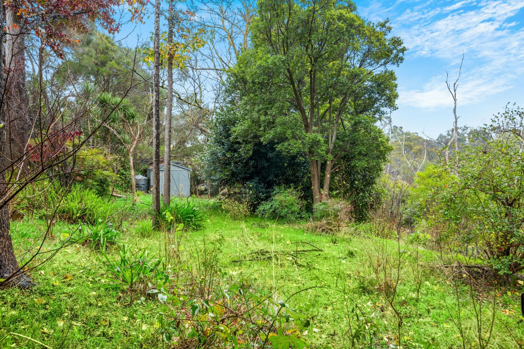 101 Onkaparinga Road, Bridgewater SA 5155, Bridgewater - Thumbnail 5