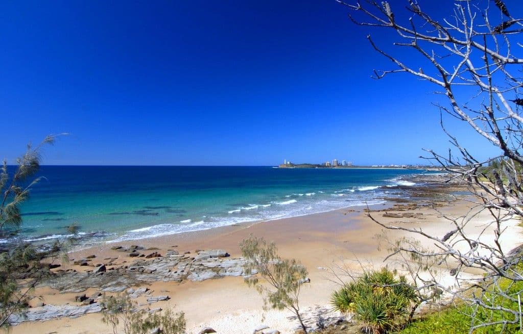 23 Marjorie Street, Mooloolaba QLD 4557, Mooloolaba - Thumbnail 8