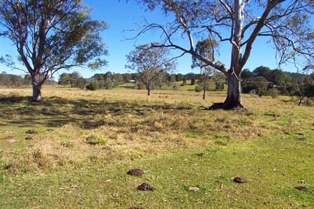11 Buckley Road, KIN KIN QLD 4571, Kin Kin - Thumbnail 5