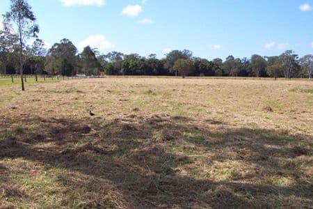 11 Buckley Road, KIN KIN QLD 4571, Kin Kin - Thumbnail 7