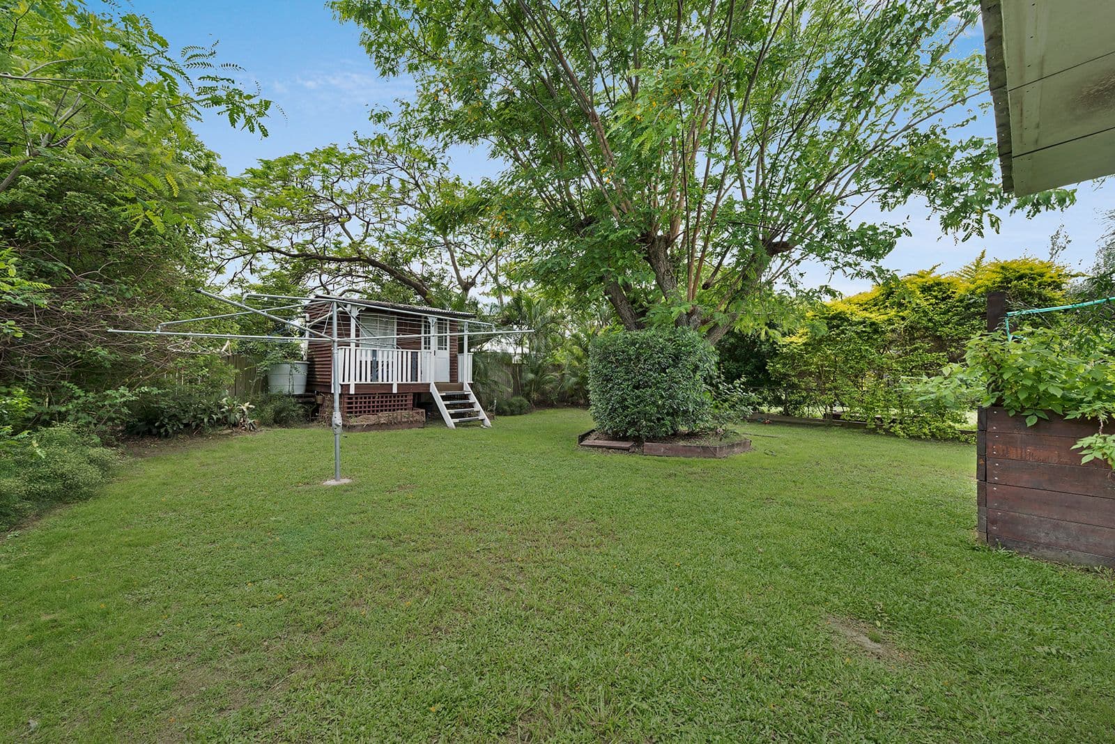 38 Sport Street, Kedron QLD 4031, Kedron - Thumbnail 5