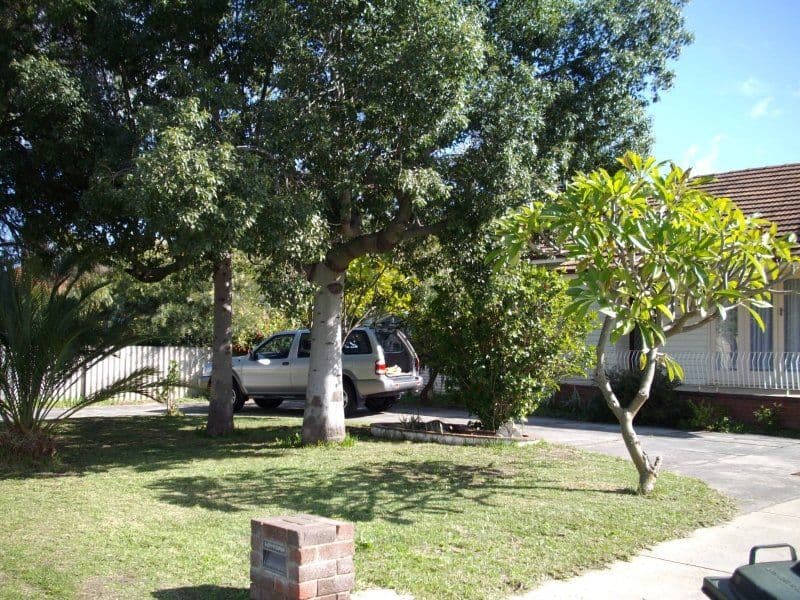 338 Wharf Street, QUEENS PARK WA 6107, Queens Park - Image 1