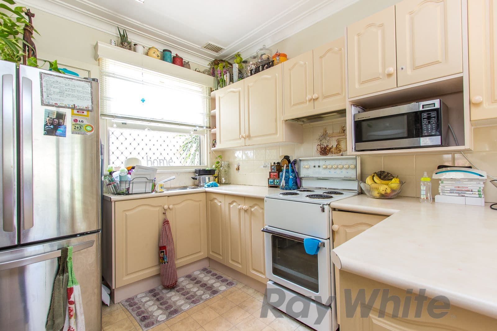 28 Spruce Street, North Lambton - Thumbnail 3