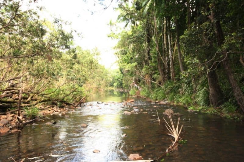 624  East Funnel Creek, SARINA RANGE QLD 4737, Sarina Range - Image 1