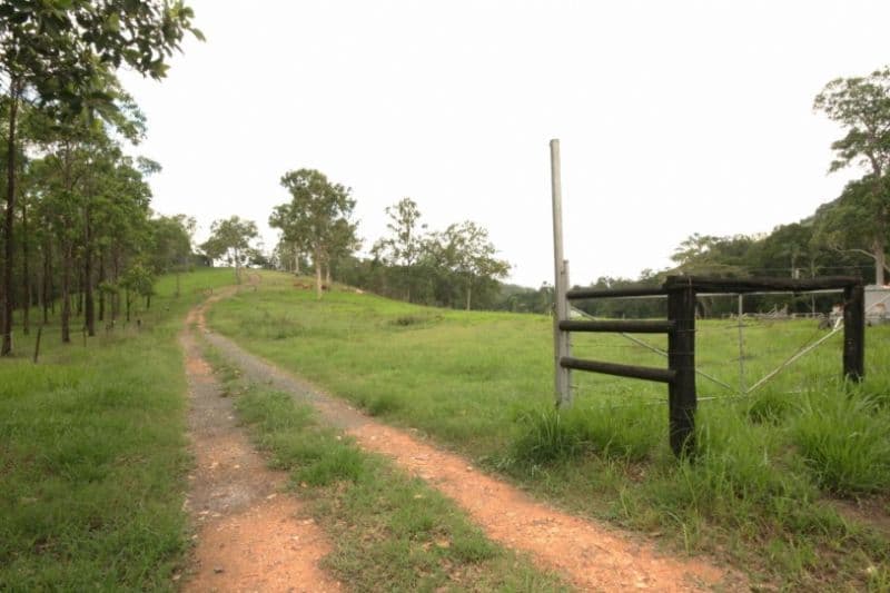 624  East Funnel Creek, SARINA RANGE QLD 4737, Sarina Range - Thumbnail 2