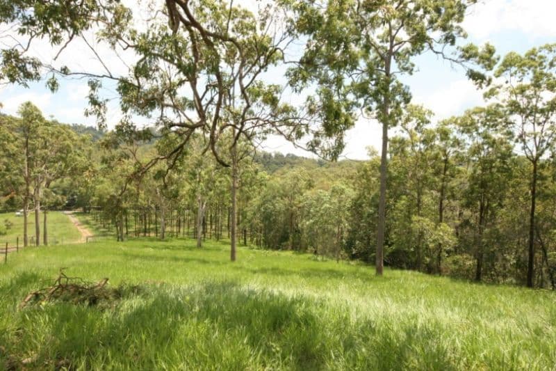 624  East Funnel Creek, SARINA RANGE QLD 4737, Sarina Range - Thumbnail 6