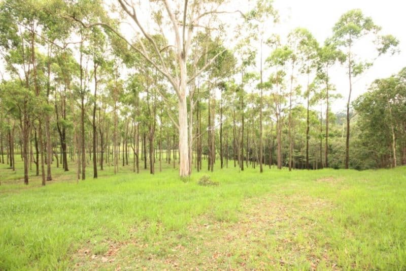 624  East Funnel Creek, SARINA RANGE QLD 4737, Sarina Range - Thumbnail 7