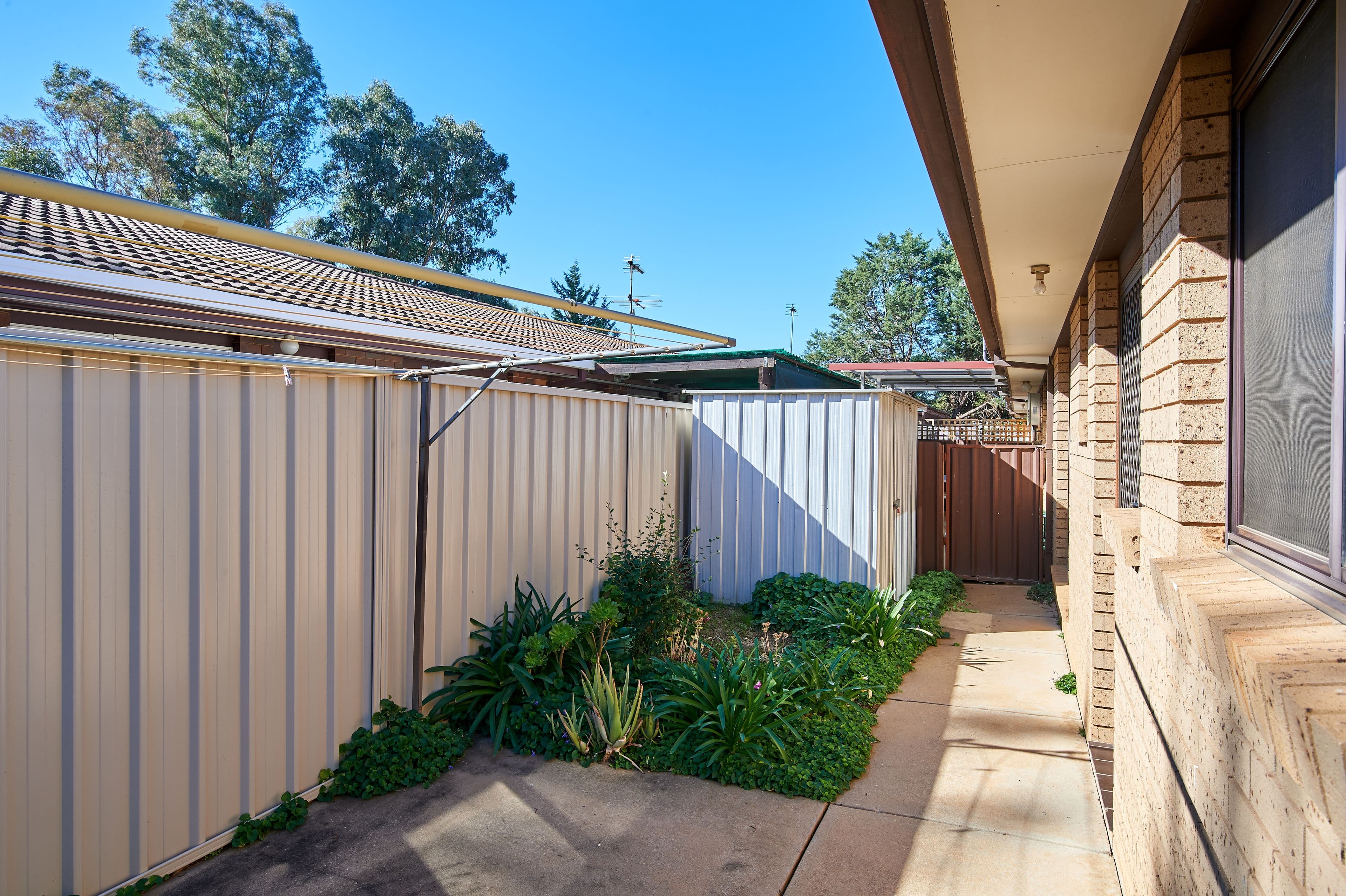 33 Wren Street, Mount Austin NSW 2650, Mount Austin - Thumbnail 8