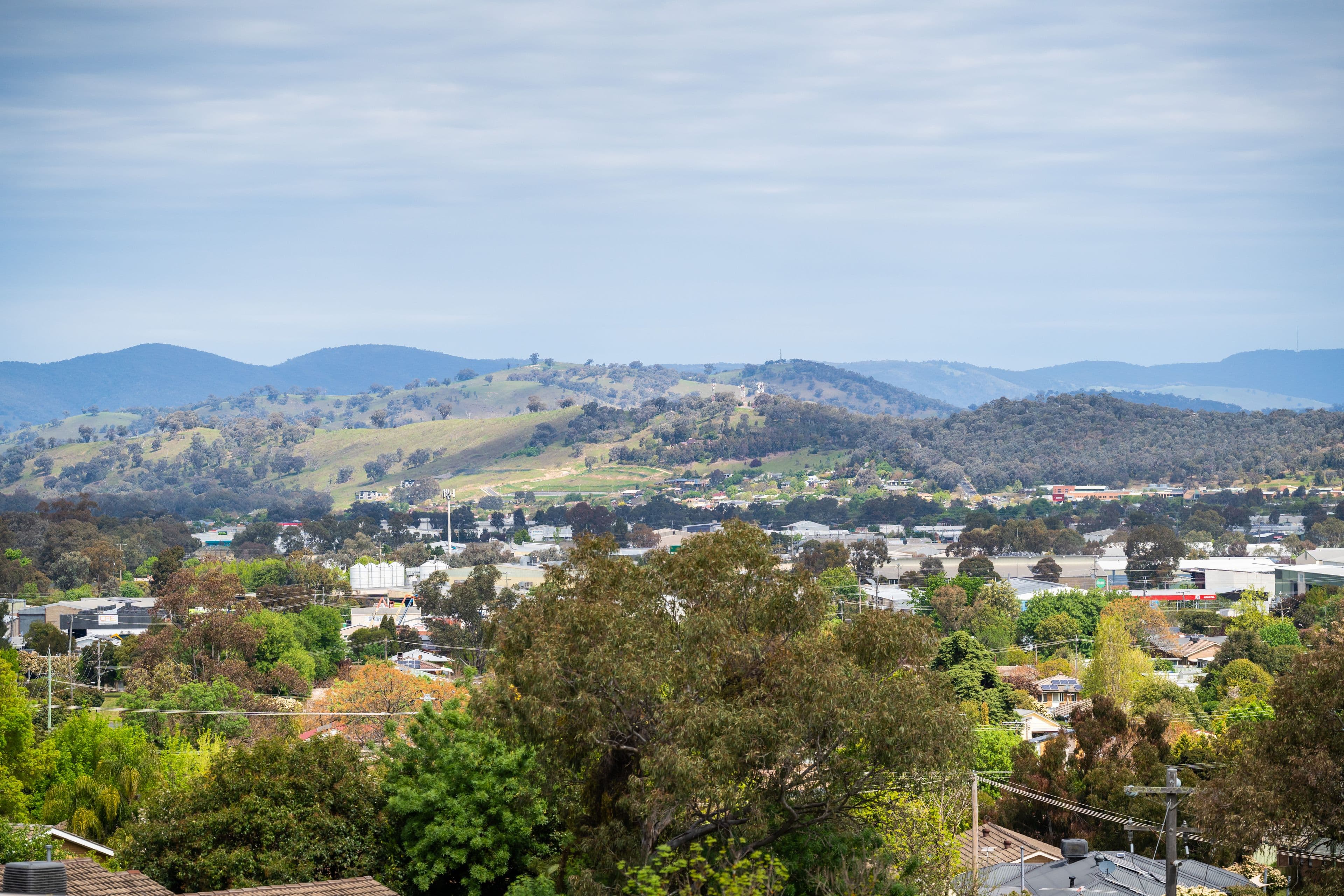 407 Carlma Crescent, Lavington NSW 2641, Lavington - Thumbnail 4