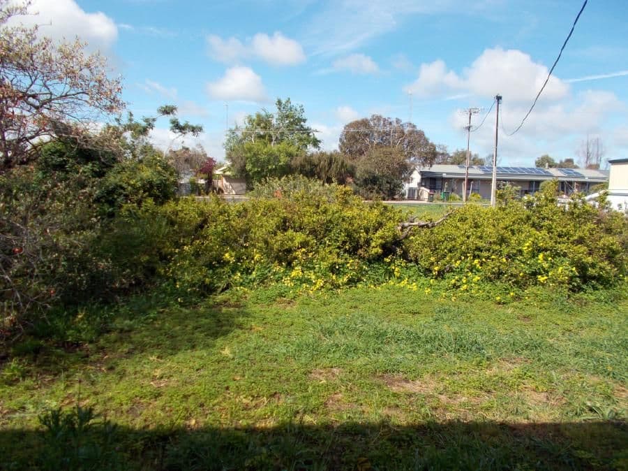 49 Venn Avenue, Bordertown SA 5268, Bordertown - Thumbnail 2