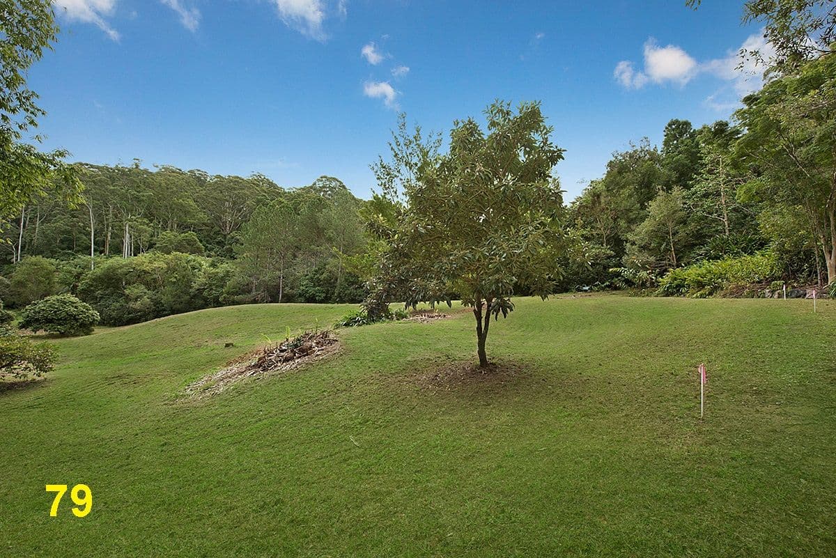 79 Sawreys Road, Mons QLD 4556, Mons - Thumbnail 2