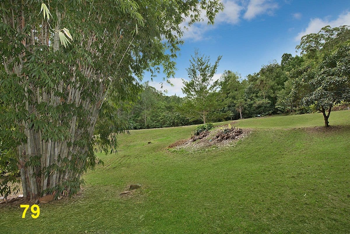 79 Sawreys Road, Mons QLD 4556, Mons - Thumbnail 3