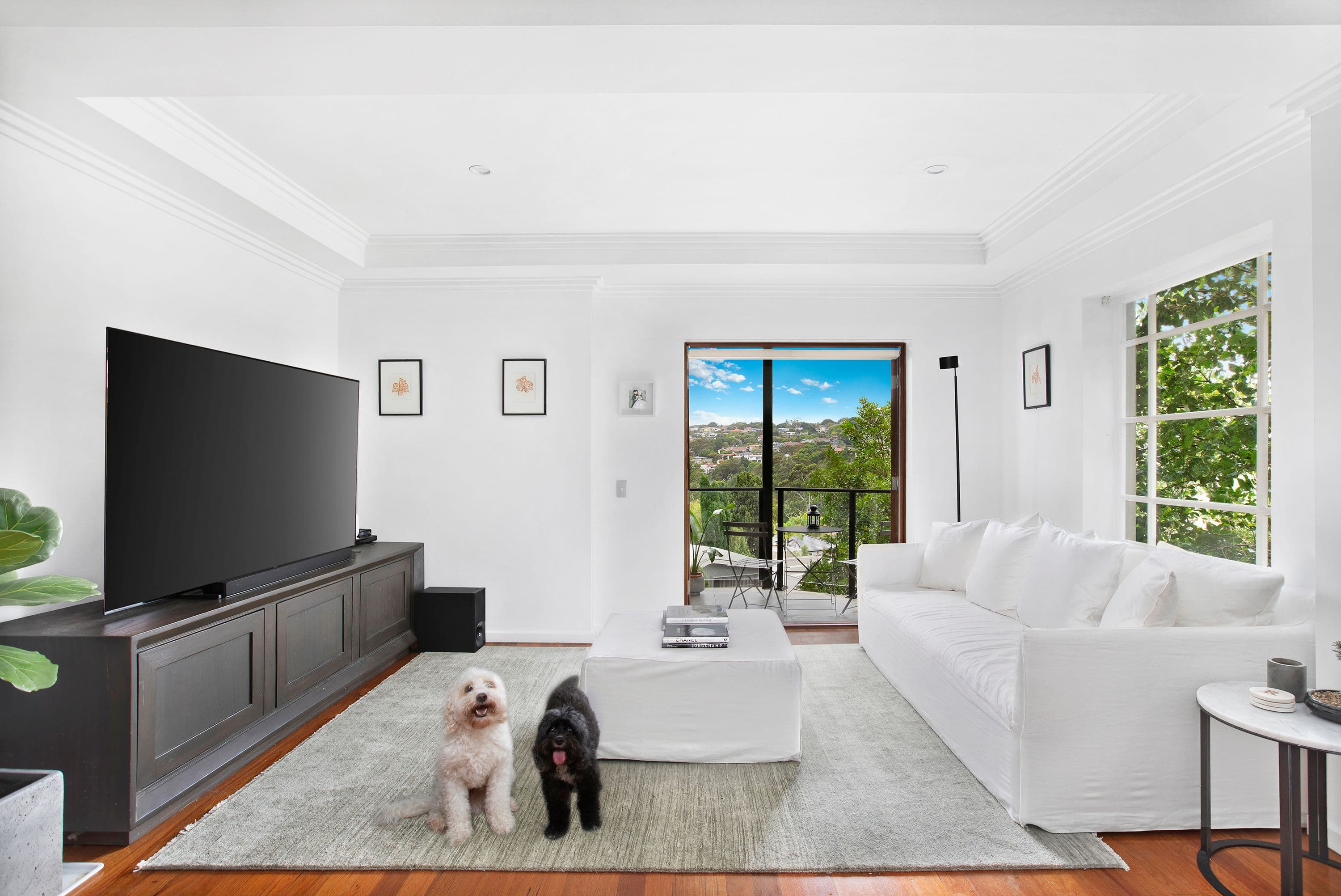 20 Chester Street, Woollahra NSW 2025, Woollahra - Image 1