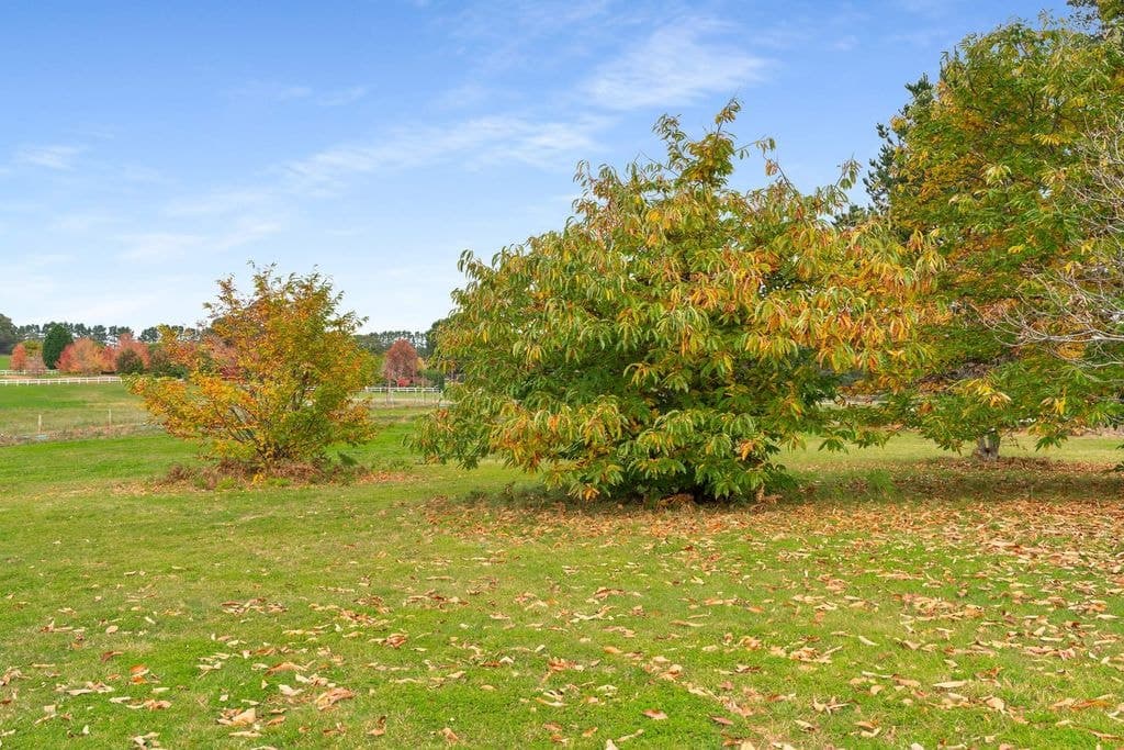 Lot 6 , 50  Bumballa Road, Wingello - Thumbnail 5