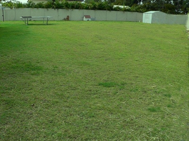 21 Forest Oak Drive, UPPER COOMERA QLD 4209, Upper Coomera - Thumbnail 3