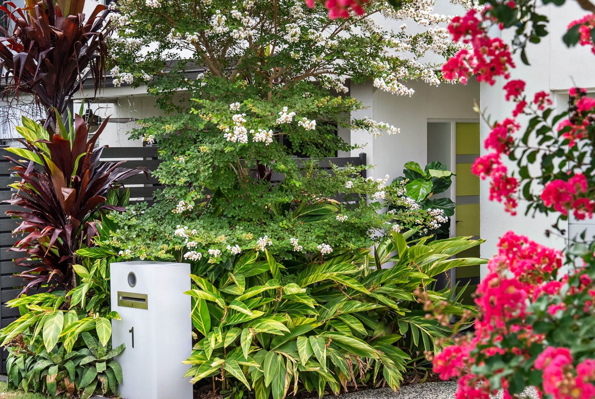 1 Cygnus Crescent, Coomera QLD 4209, Coomera - Thumbnail 2