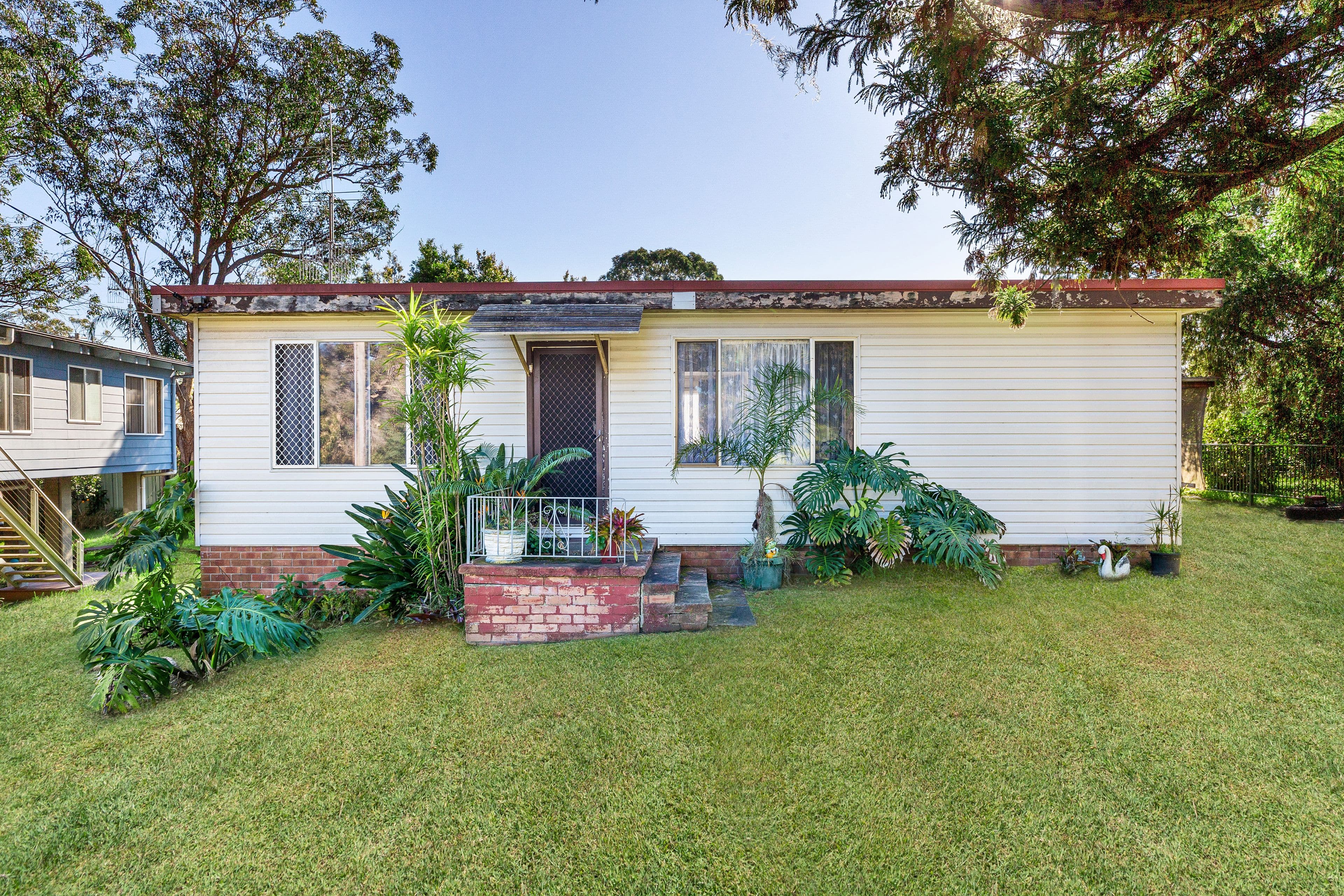 3 Sonoma Road, Budgewoi NSW 2262, Budgewoi - Thumbnail 3