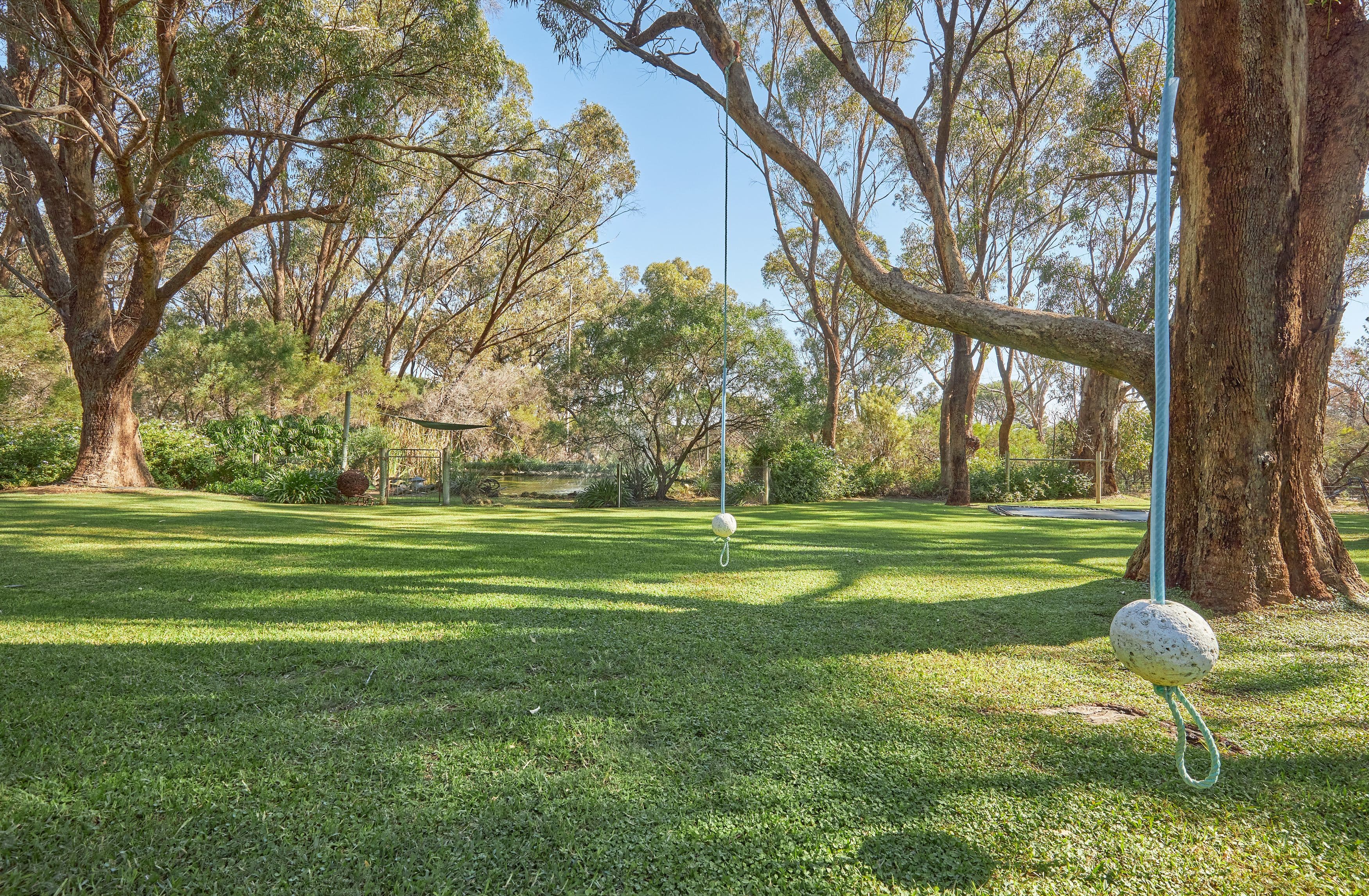 198 Tuart Drive, Baldivis WA 6171, Baldivis - Thumbnail 4