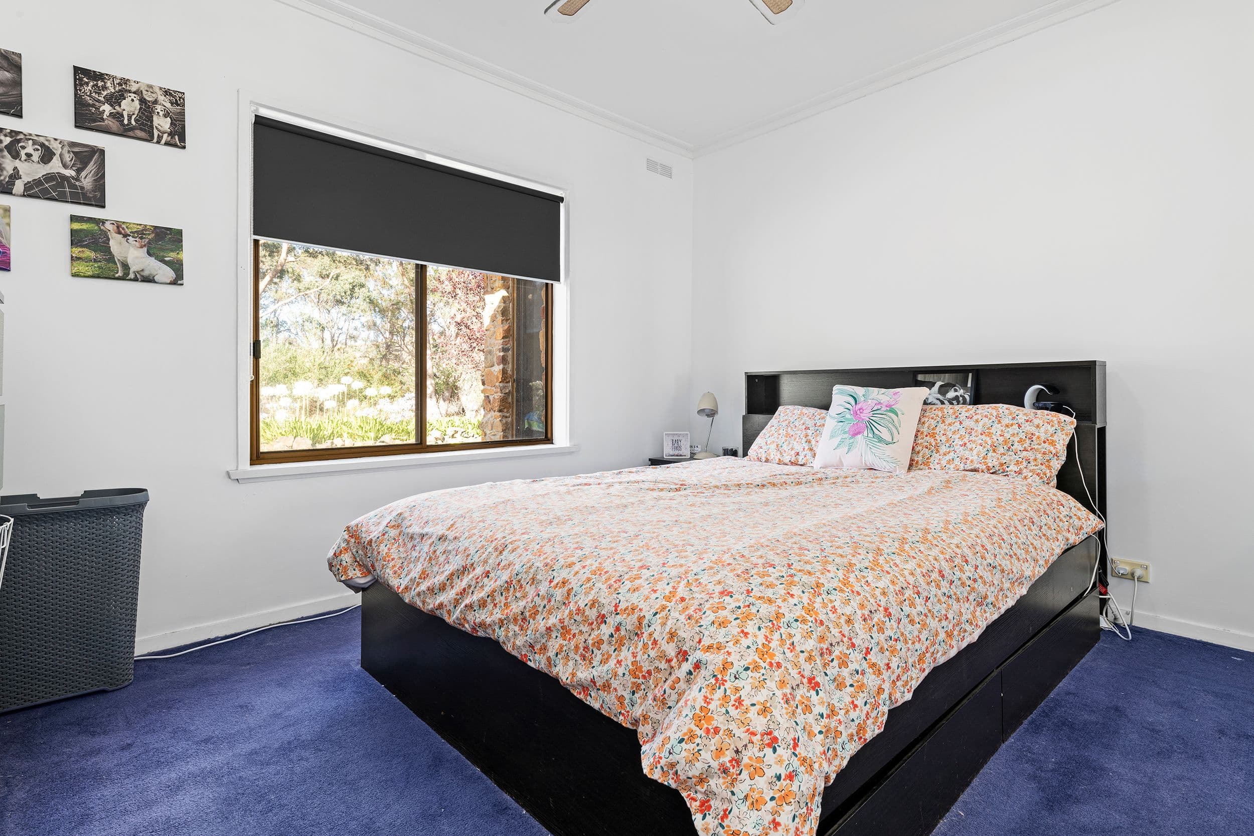 5290 Northern Highway, Tooborac VIC 3522, Tooborac - Thumbnail 5