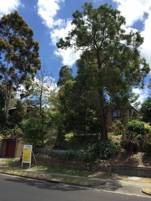 44 Avandina Crescent, Greensborough VIC 3088, Greensborough - Thumbnail 2