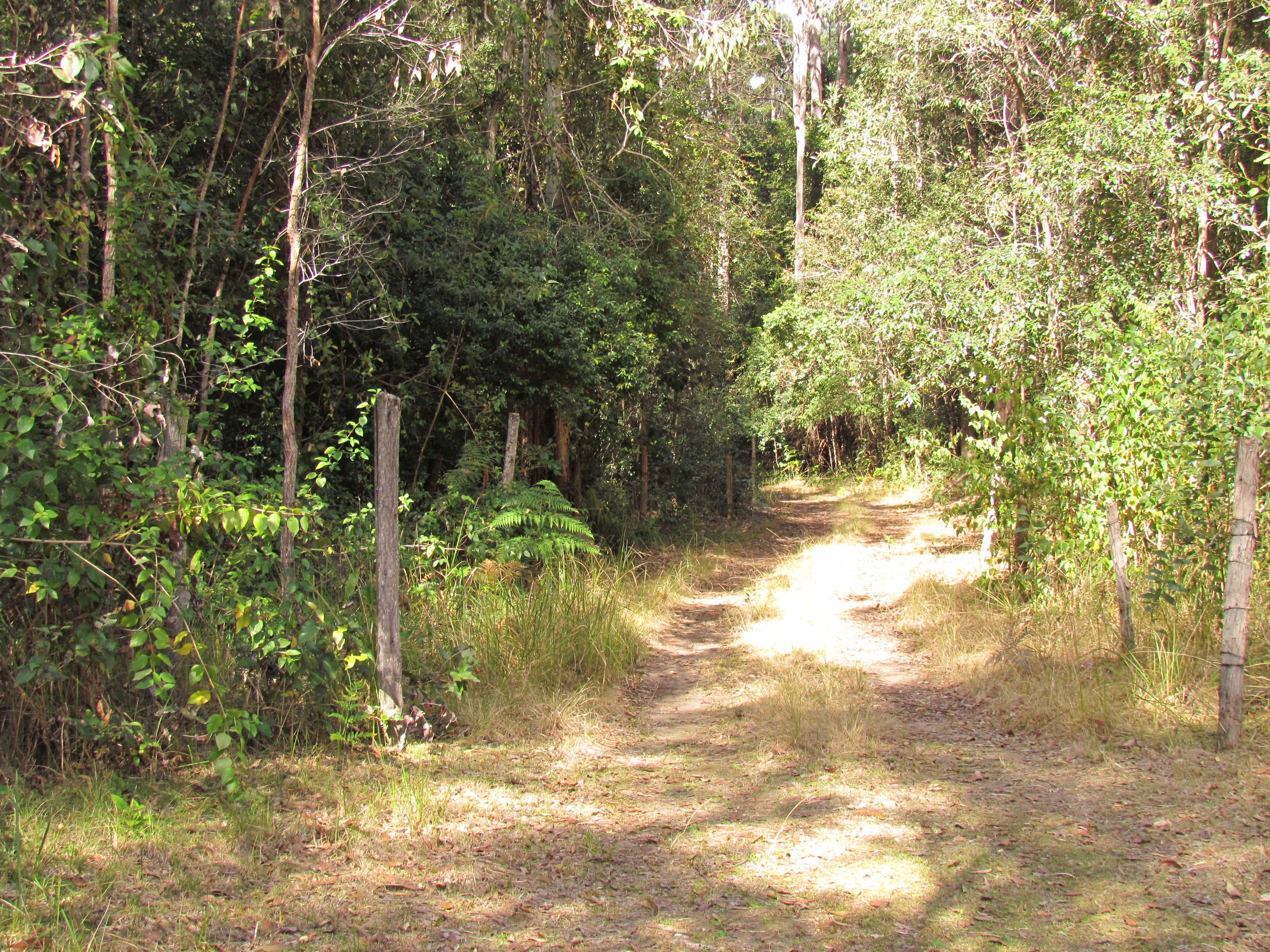 419 Tullymorgan-Jackybulbin Road, Tullymorgan NSW 2463, Tullymorgan - Thumbnail 3