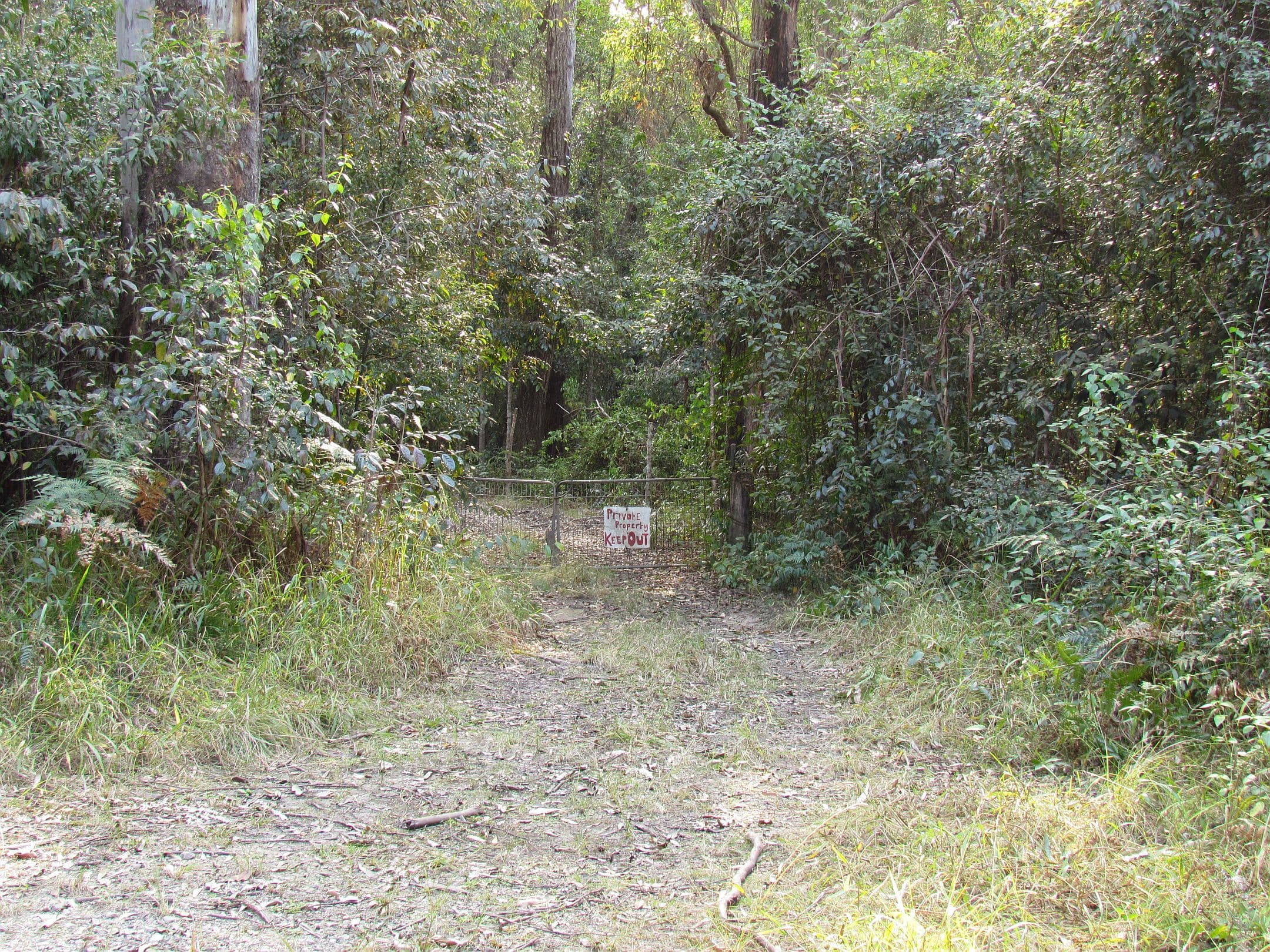 419 Tullymorgan-Jackybulbin Road, Tullymorgan NSW 2463, Tullymorgan - Thumbnail 4