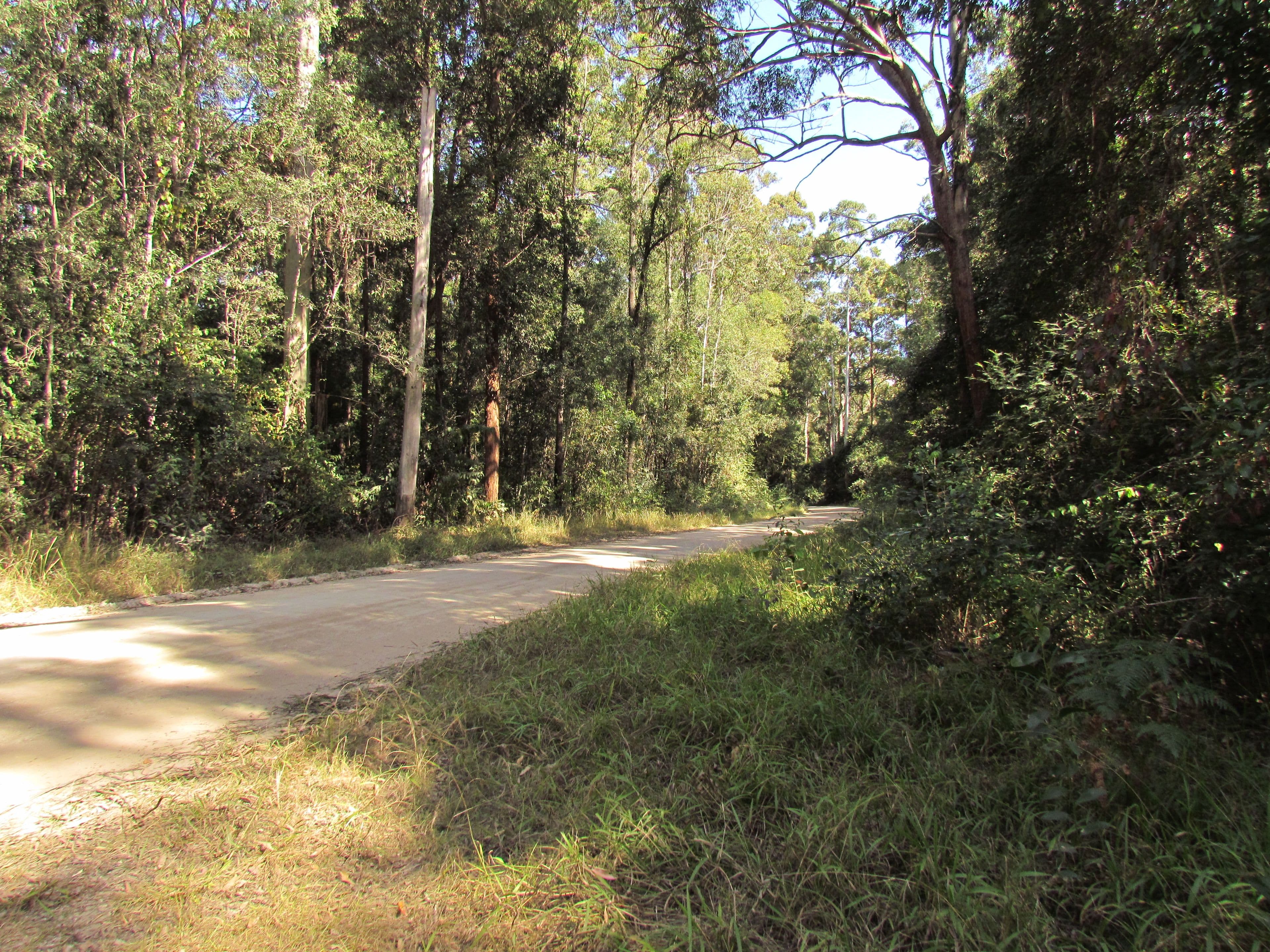 419 Tullymorgan-Jackybulbin Road, Tullymorgan NSW 2463, Tullymorgan - Thumbnail 6