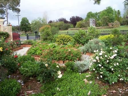 26 John Street, COROWA NSW 2646, Corowa - Thumbnail 2
