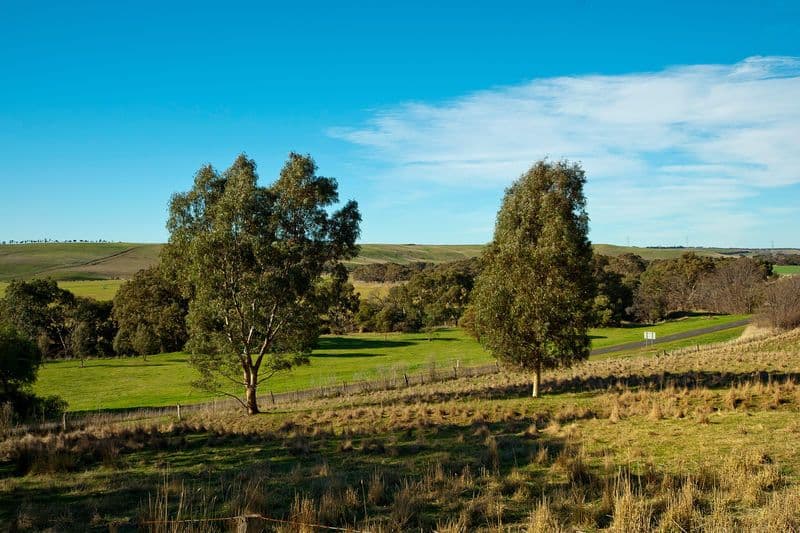 999 Inverleigh-Shelford Road, SHELFORD VIC 3329, Shelford - Thumbnail 8