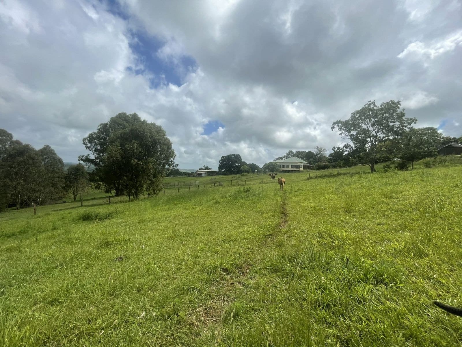 Lot 51, 74 Longleat Lane, Kurmond NSW 2757, Clunes - Thumbnail 4
