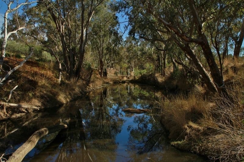 655 Spring Flat Road, Heathcote VIC 3523, Heathcote - Thumbnail 4