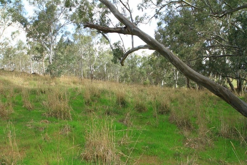 655 Spring Flat Road, Heathcote VIC 3523, Heathcote - Thumbnail 6