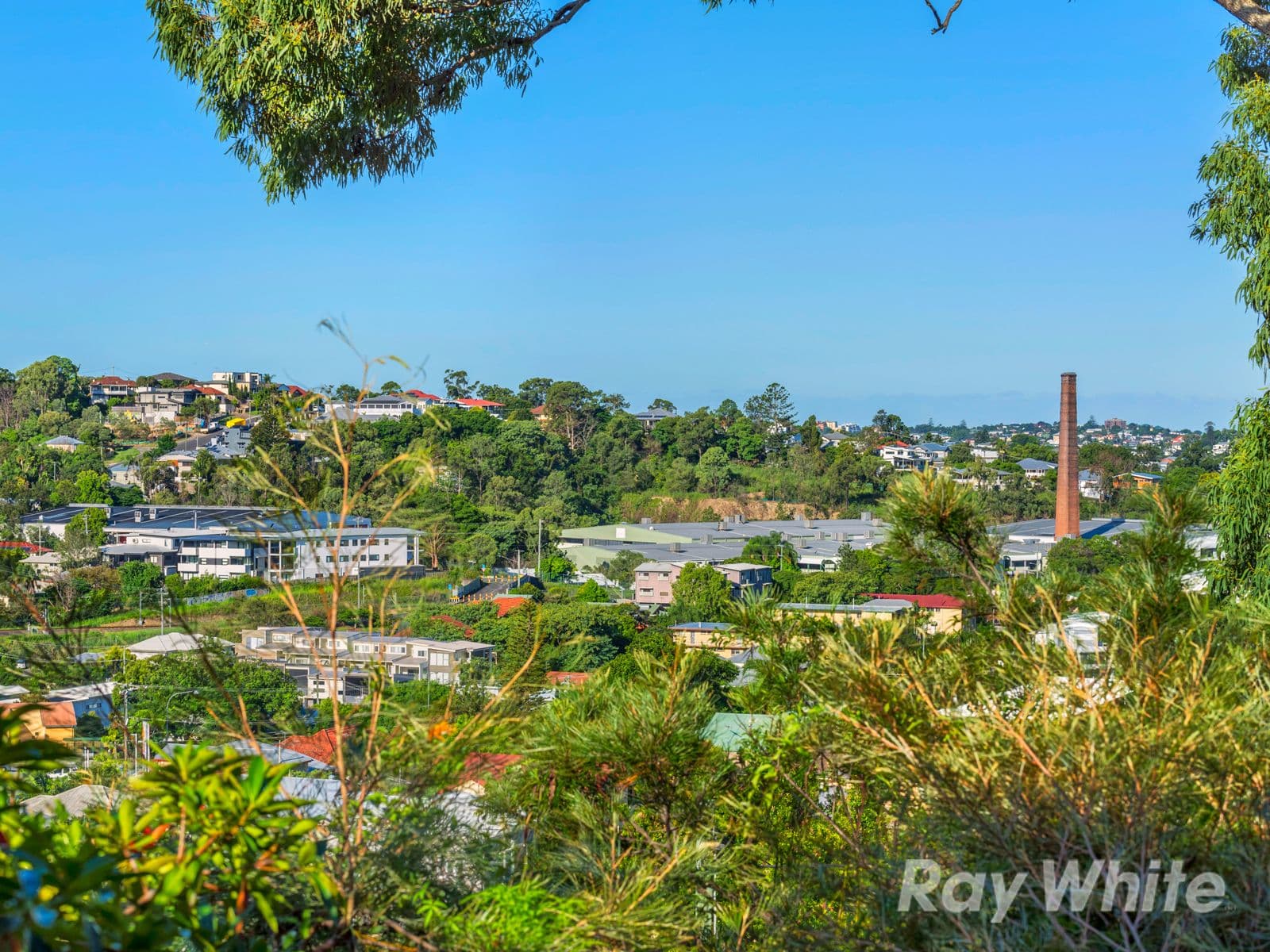 34 Braeside Terrace, Alderley QLD 4051, Alderley - Thumbnail 2