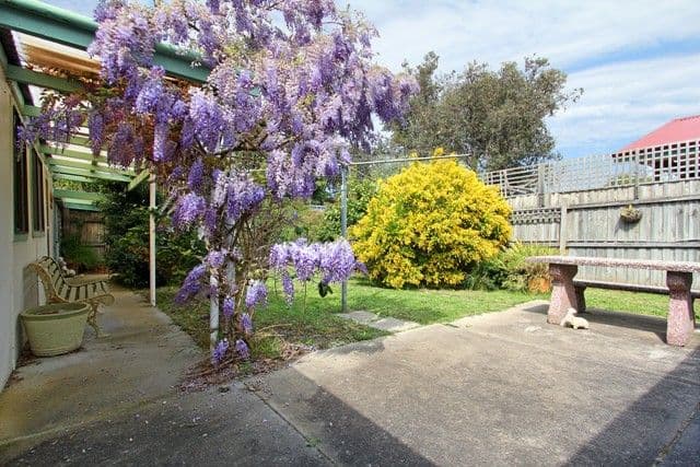 101 Third Avenue, ROSEBUD VIC 3939, Rosebud - Thumbnail 4