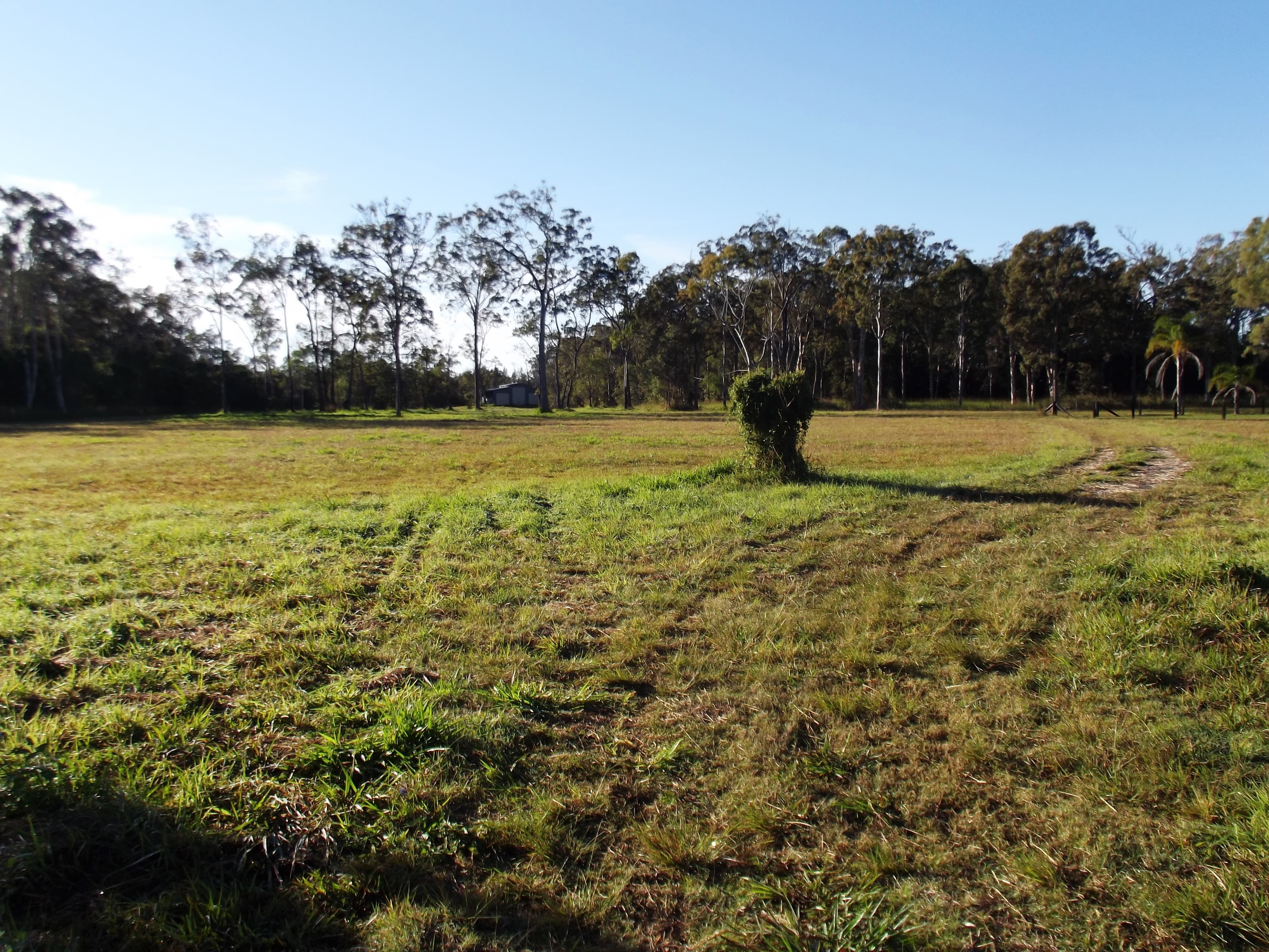 80 Bullock Creek Road, Meldale, Meldale - Thumbnail 4