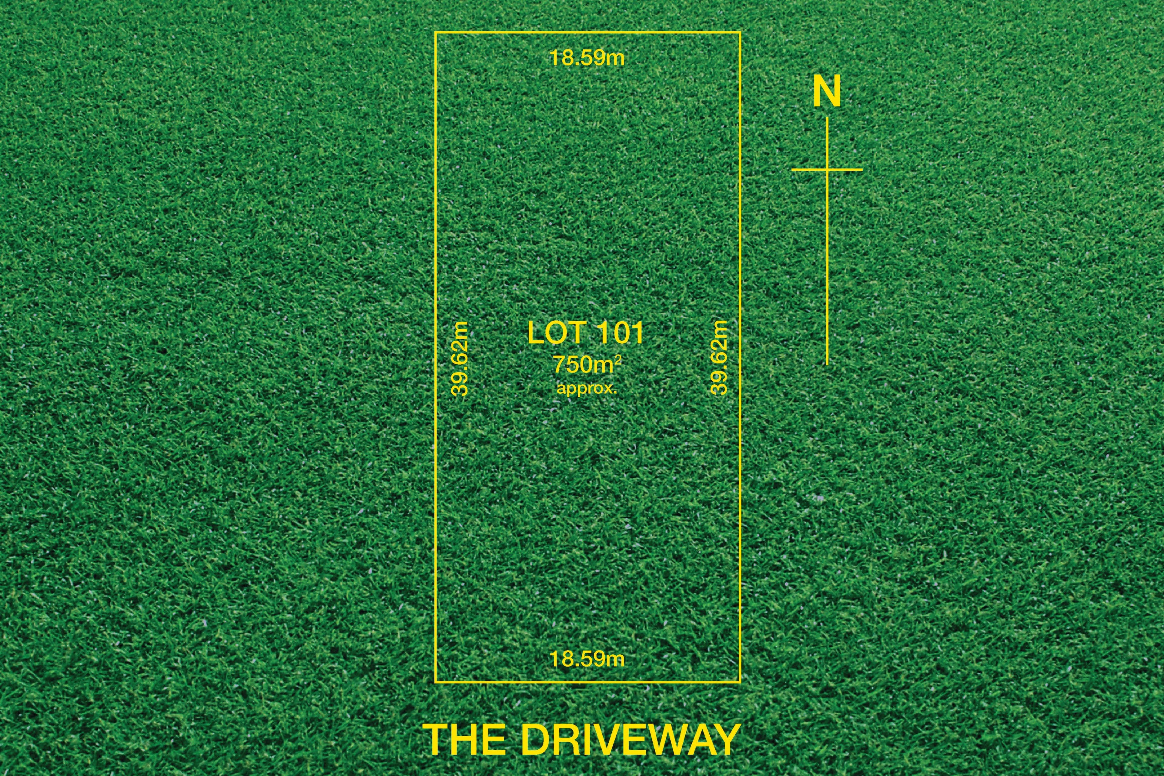 29 The Driveway, Holden Hill SA 5088, Holden Hill - Thumbnail 2