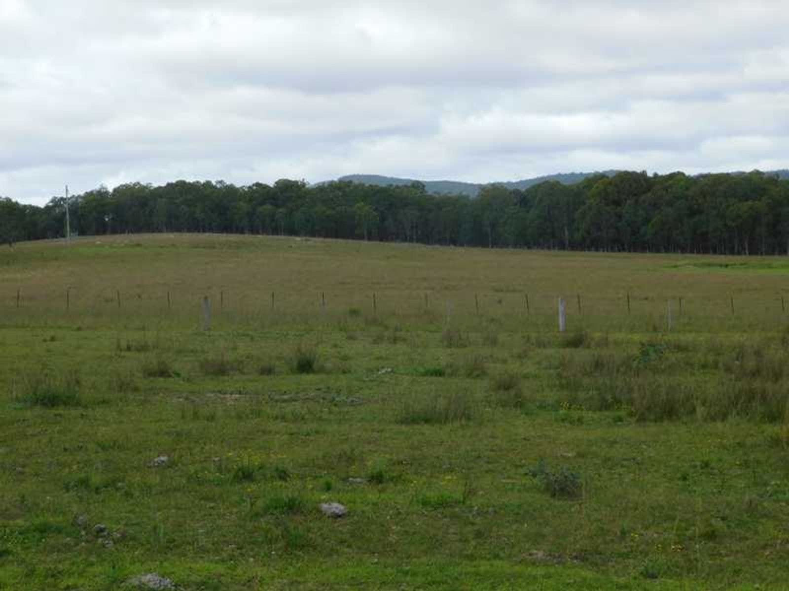 Mt Lindesay Road NSW 2372, Mt Lindesay Road - Thumbnail 4