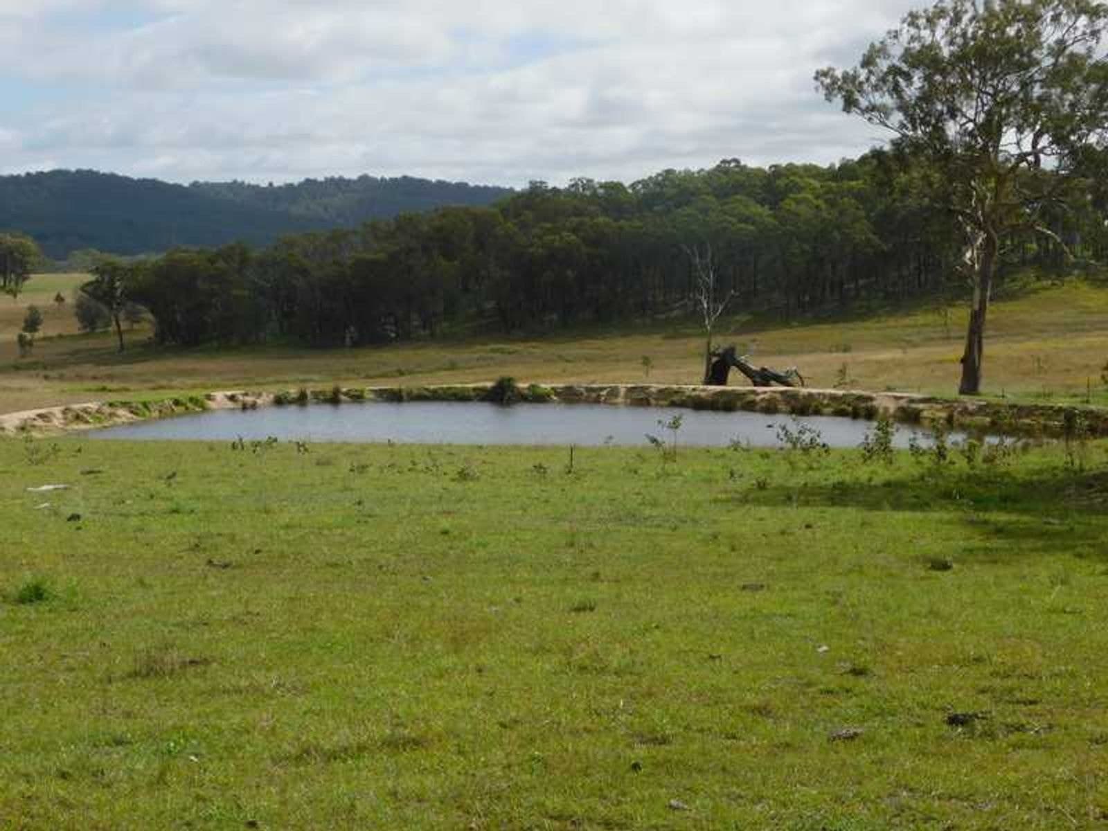 Mt Lindesay Road NSW 2372, Mt Lindesay Road - Thumbnail 5