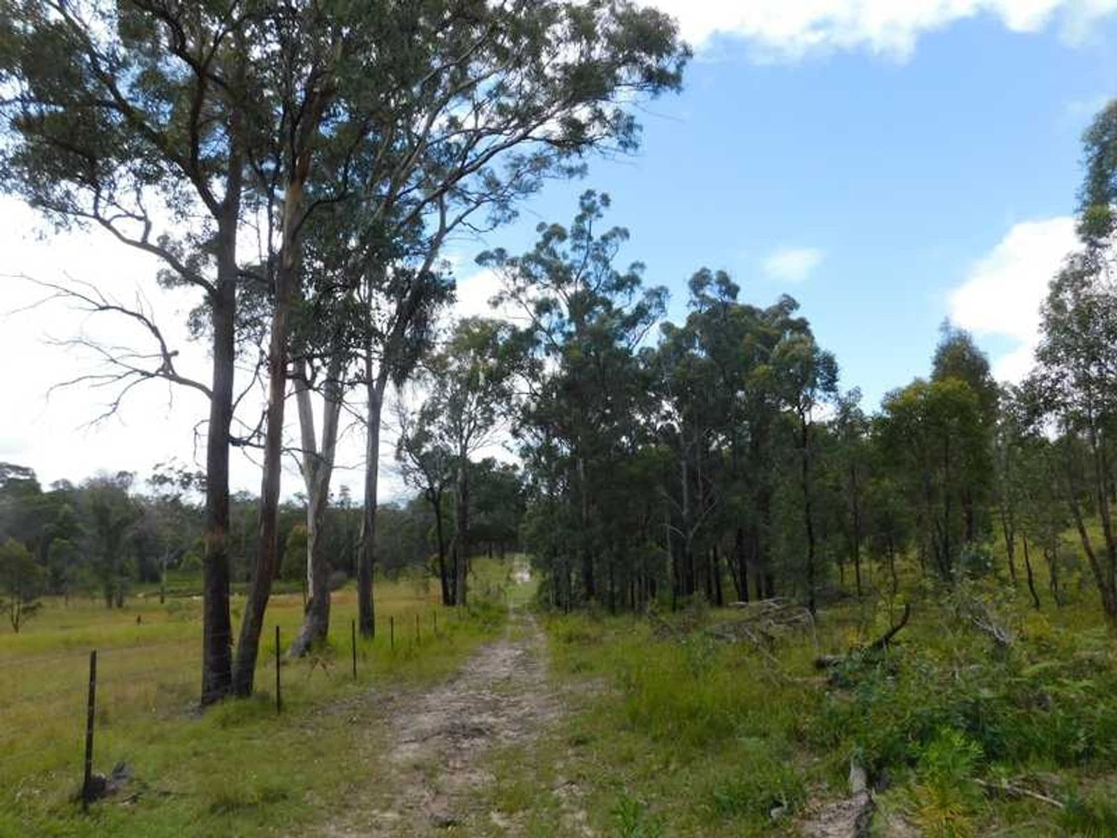 Mt Lindesay Road NSW 2372, Mt Lindesay Road - Thumbnail 6