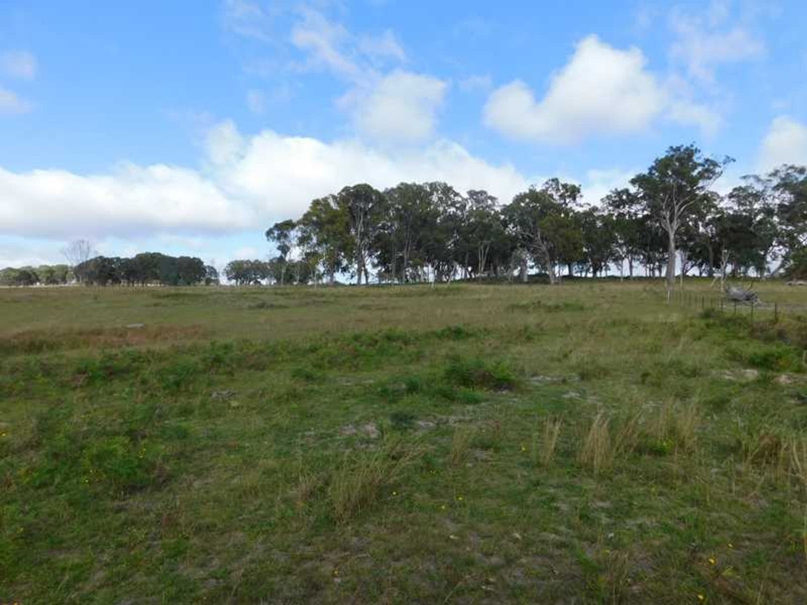 Mt Lindesay Road NSW 2372, Mt Lindesay Road - Thumbnail 7