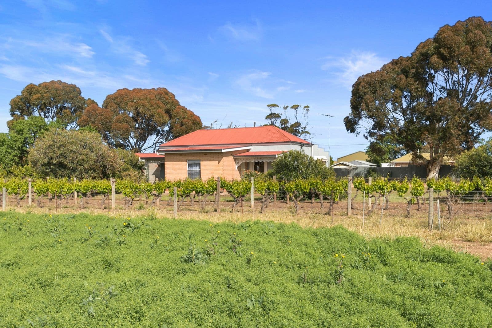 12-22 Elizabeth Road, Maitland SA 5573, Maitland - Thumbnail 3