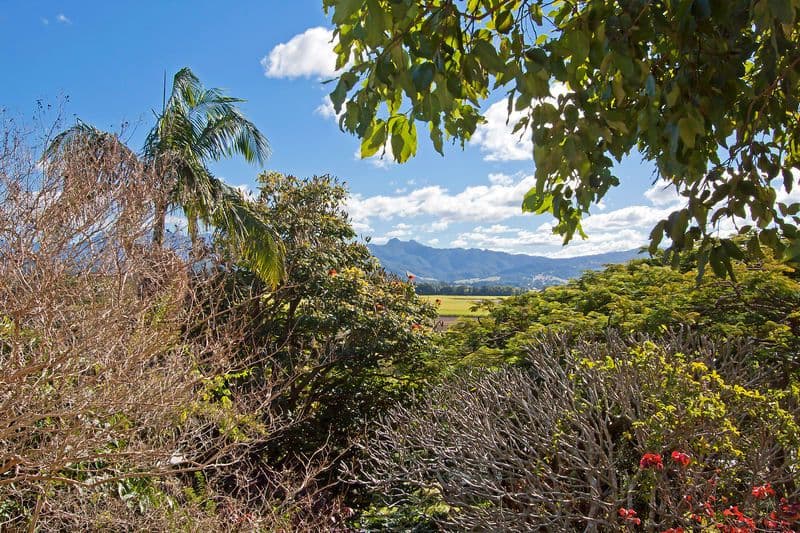 69 Ewing Street, MURWILLUMBAH NSW 2484, Murwillumbah - Thumbnail 8