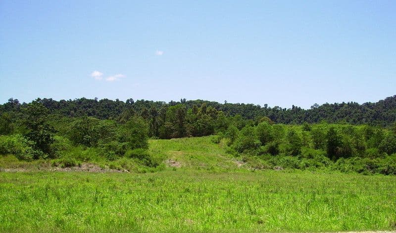 00 Gorge Road, FINCH HATTON QLD 4756, Finch Hatton - Thumbnail 2