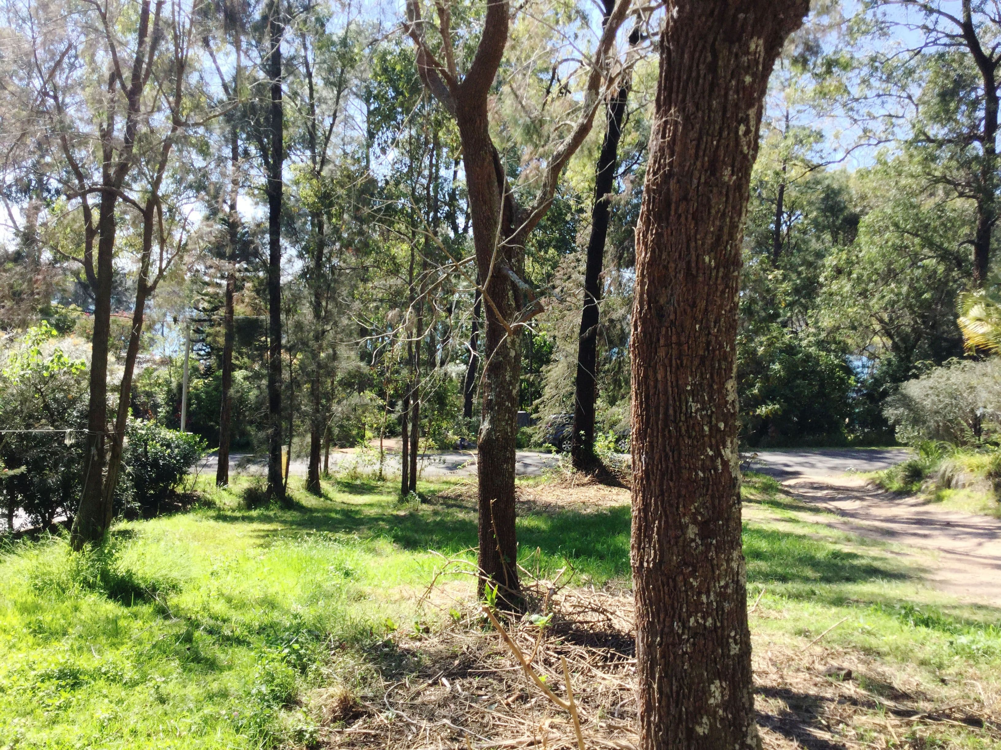 33 Cove Boulevarde, North Arm Cove NSW 2324, North Arm Cove - Image 1