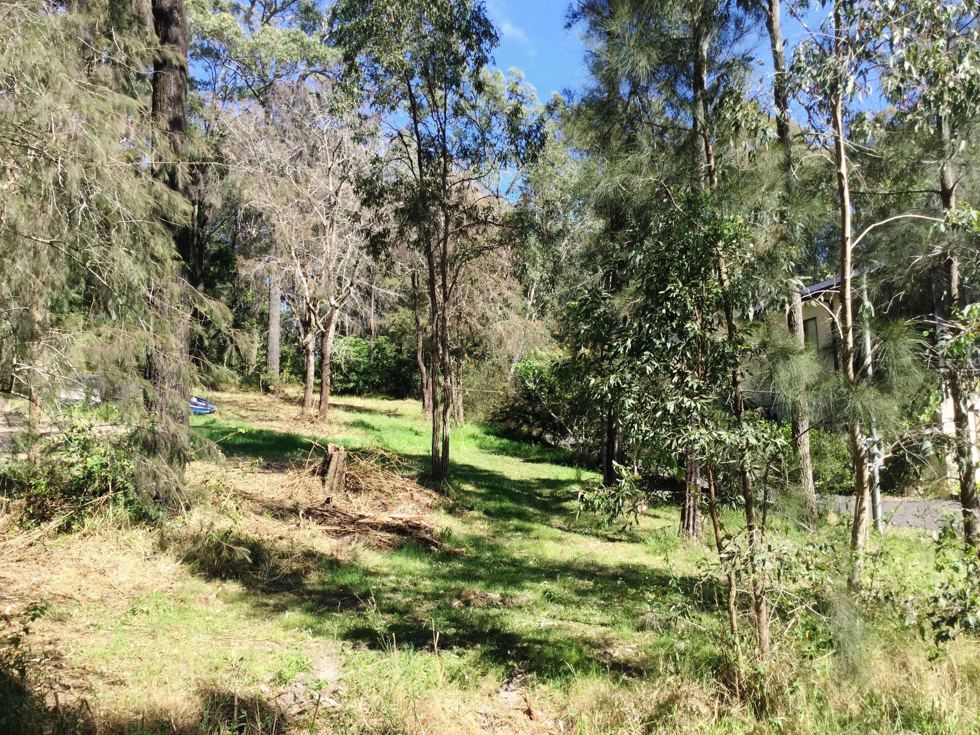 33 Cove Boulevarde, North Arm Cove NSW 2324, North Arm Cove - Thumbnail 2
