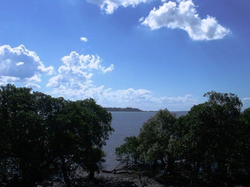 57 Canaipa Point Drive, RUSSELL ISLAND QLD 4184, Russell Island - Thumbnail 2