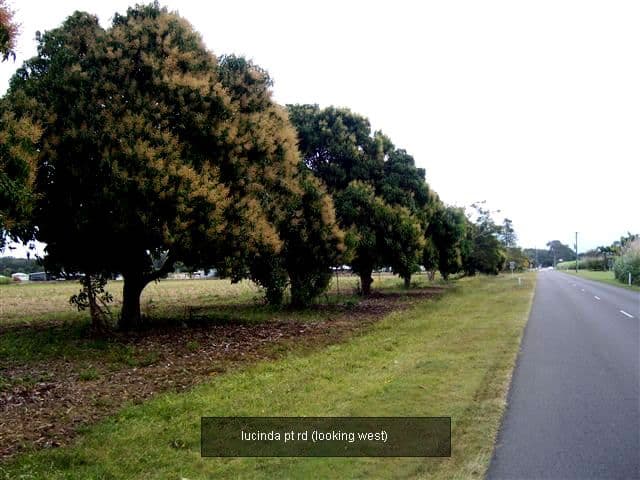 Lot 25 (8) Riverdowns Drive, Halifax QLD 4850, Halifax - Thumbnail 6