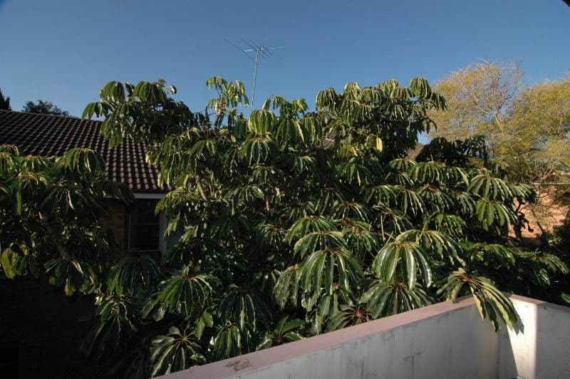 10 Albert Street, HORNSBY NSW 2077, Hornsby - Thumbnail 3