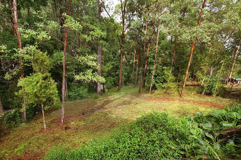 30 Lauren Drive, BUDERIM QLD 4556, Buderim - Thumbnail 6