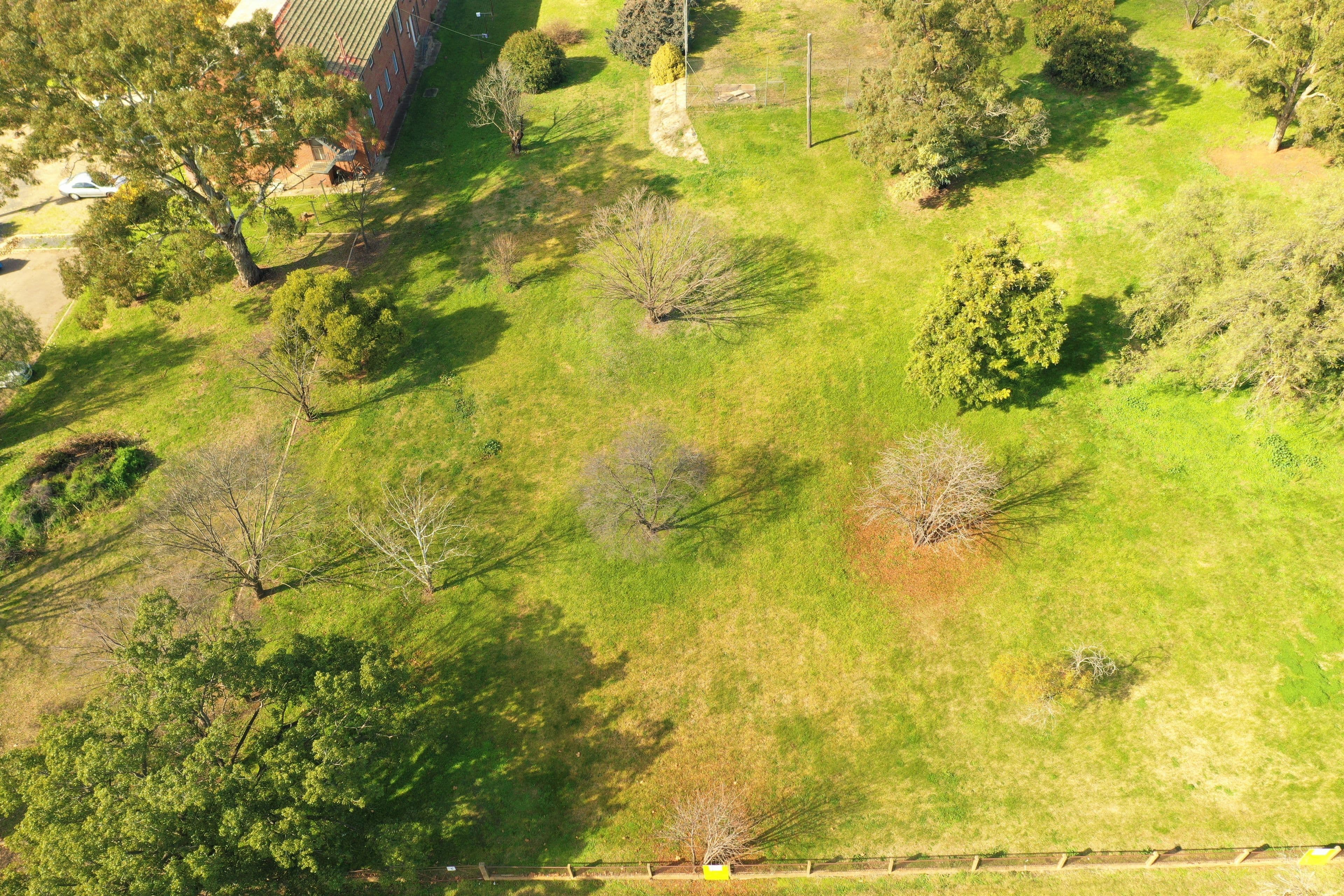Bruce Street, Young NSW 2594, Young - Thumbnail 3